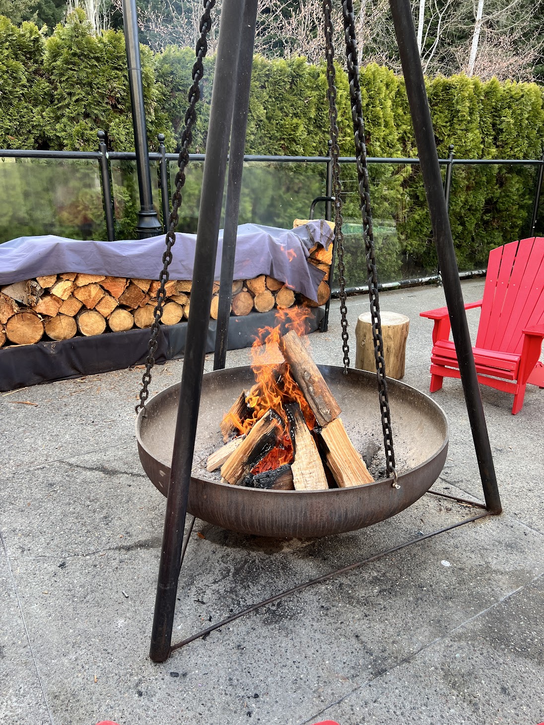 Whistler Fire Pit with Wood